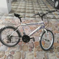 دوچرخه