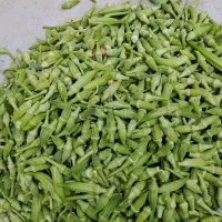 سبزی بامیه