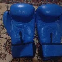 دستکش بوکس|تجهیزات ورزشی|همدان, |دیوار