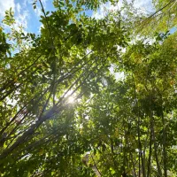 باغ ویلا ۲۰۰۰ تهاتر و معاوضه