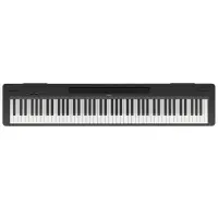 پیانو p 145 پرتابل اقتصادی