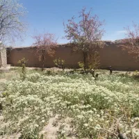 باغ|فروش دفتر صنعتی، کشاورزی، تجاری|نجف‌آباد, جوزدان|دیوار