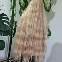 فروش و خرید مو بیشتر ازهمه خریداران(خریدار اصلی وو