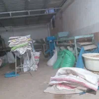 خر ی د ضایعات  پسته وپو ک شکن