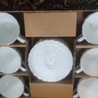 فنجون نعلبکی