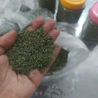 نعناع خشک خونگی ودرجه یک