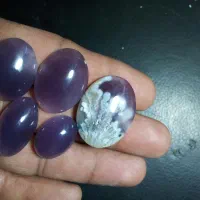 فردوس عقیق