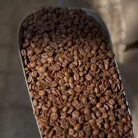 انواع دان قهوه و محصولات پودری و فوری