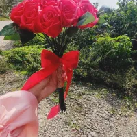 گل های ربانی از شاخه ۵۰تومن|گل مصنوعی|رشت, فخب|دیوار
