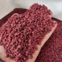 پخش عمده سماق قرمز و قهوه ای درشت و پودری و غیره