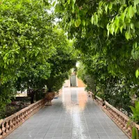 زمین ۱۲۵ متر