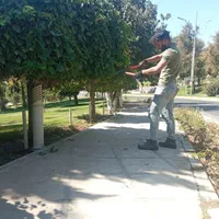 خدمات باغبانی و فضای سبز|خدمات باغبانی و درختکاری|قدس, شهر‌قدس|دیوار