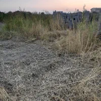 زمین 1000متر با فنس کشی جاده طلاتپه ینگجه|فروش زمین و ملک کلنگی|نوشین شهر, |دیوار
