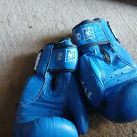 دست کش بوکس