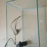 اکواریوم