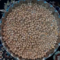 حبوبات محلی عدس ،نخود ،آرد.بلغور|خوردنی و آشامیدنی|زنجان, |دیوار