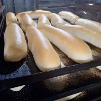 فرگردون ۳۲ دیس ماندگار و فر۱۶دیس طبقه ای ساخت کرج