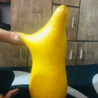 نی انبان|سازهای بادی|خرمشهر, |دیوار