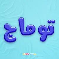 قالیشویی توماج