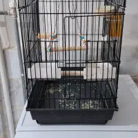 معاوضه با کبوتر