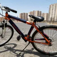 ورزشی|دوچرخه، اسکیت، اسکوتر|فولادشهر, C8|دیوار