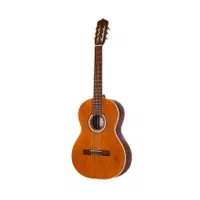 پارسی M5 گیتار