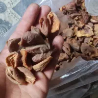 برگه زردآلو ارگانیک