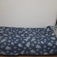 تخت یک نفره به همراه خوشخواب