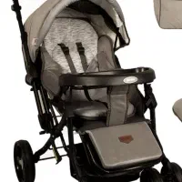 کالسکه مدل دلیجان