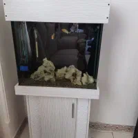 اکواریوم شیشه خم