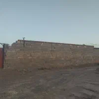 استاد بنا در همه ساعت