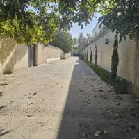 باغچه ۵۰۰ متری / نقد