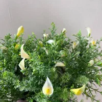 گل مصنوعی|گل مصنوعی|زنجان, |دیوار