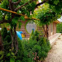 باغ ویلا 1000 متری سرسبز قلعه سفید گلدشت نجفآباد|فروش خانه و ویلا|اصفهان, شاه پسند|دیوار