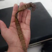 تسبیح|کلکسیون و سرگرمی|بروجرد, |دیوار