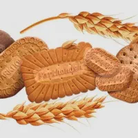 کارگرساده،ماهر،کارخانه کیک و کلوچه،خوابگاه،غذا