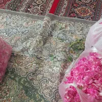 گل محمدی|گل مصنوعی|دشتابی, |دیوار