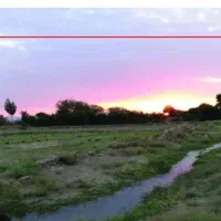 بیست هکتار زمین کشاورزی  پنج میلیارد در فراهان|فروش زمین و ملک کلنگی|فرمهین, |دیوار