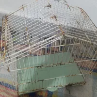 قفس پرنده