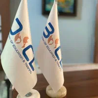 جذب استاد زبان