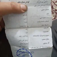 پیدا شده