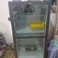 تخم نطفه دار از شما تحویل جوجه با ما