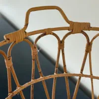 سبد راکوتان ایکیا