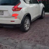 جوک سفید صدفی