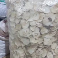 کلوس موسیر