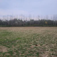 فروش ۵ هزار متر زمین کشاورزی|فروش زمین و ملک کلنگی|شفت, |دیوار