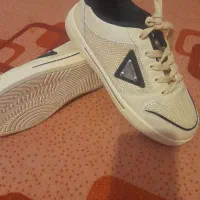 کفش مارک دار