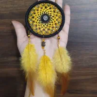 دریمکچر|کلکسیون اشیاء عتیقه|شیراز, کفترک|دیوار