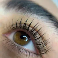 اکستنشن مژه،کاشت هیدن،لیفت و لمینت مژه و ابرو|خدمات آرایشگری و زیبایی|تهران, ولنجک|دیوار