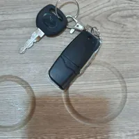 پیدا شده